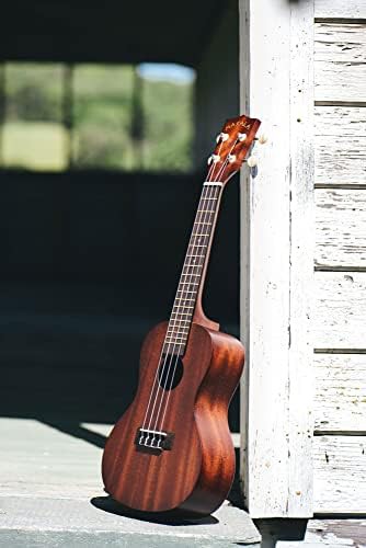 Makala mahogany concert ukulele — photo 5