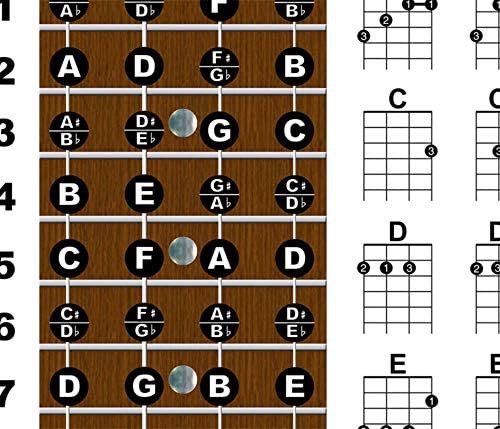 Ukulele chord chart poster 11x17 for beginners — photo 3