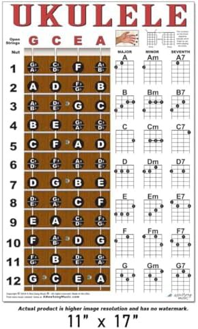 Ukulele chord chart poster 11x17 for beginners — photo 4
