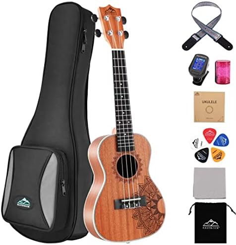 Sapele beginner concert ukulele package
