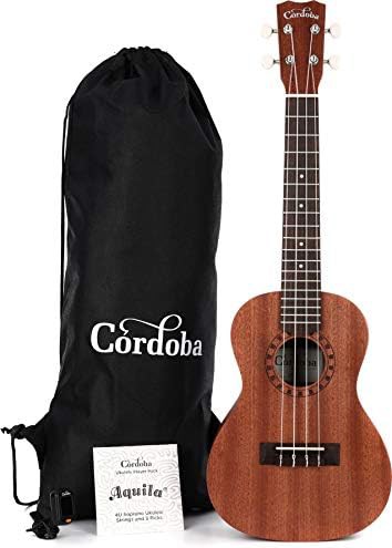 Mahogany Concert Ukulele Starter Kit