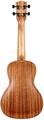 Spruce top student concert travel ukulele — photo 4