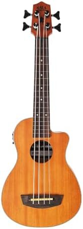 Scout fretless acoustic electric u bass with cutaway