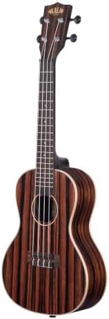 Striped ebony concert ukulele brown — photo 4