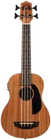 Bakithi Kumalo signature fretted acoustic electric u bass