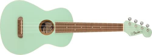 Fender