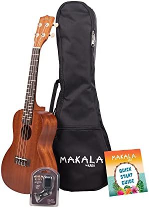 Concert starter kit with nickel fret update