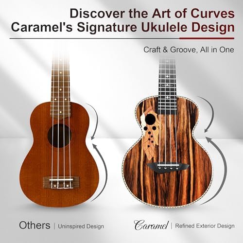 Glossy Black Ebony Concert Ukulele for Beginners — photo 4