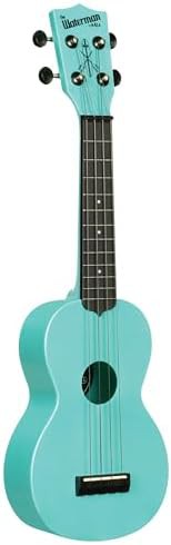 Recycled waterman soprano aqua mist