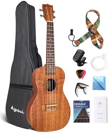 Mahogany Concert Ukulele All-in-One Set